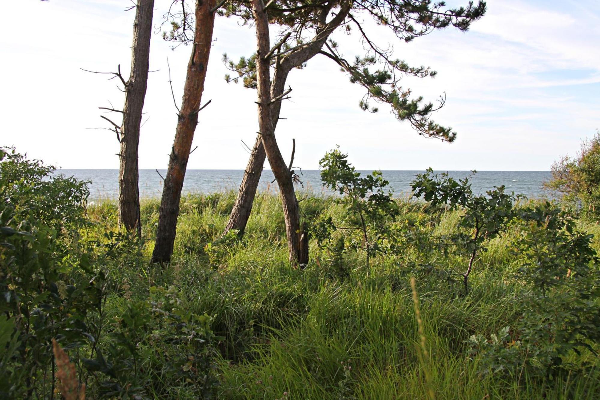 Let'S Sea - 2 Bedroom - Premium Baltic Apartment With Front Sea View Garden And Spa Access Gąski Extérieur photo