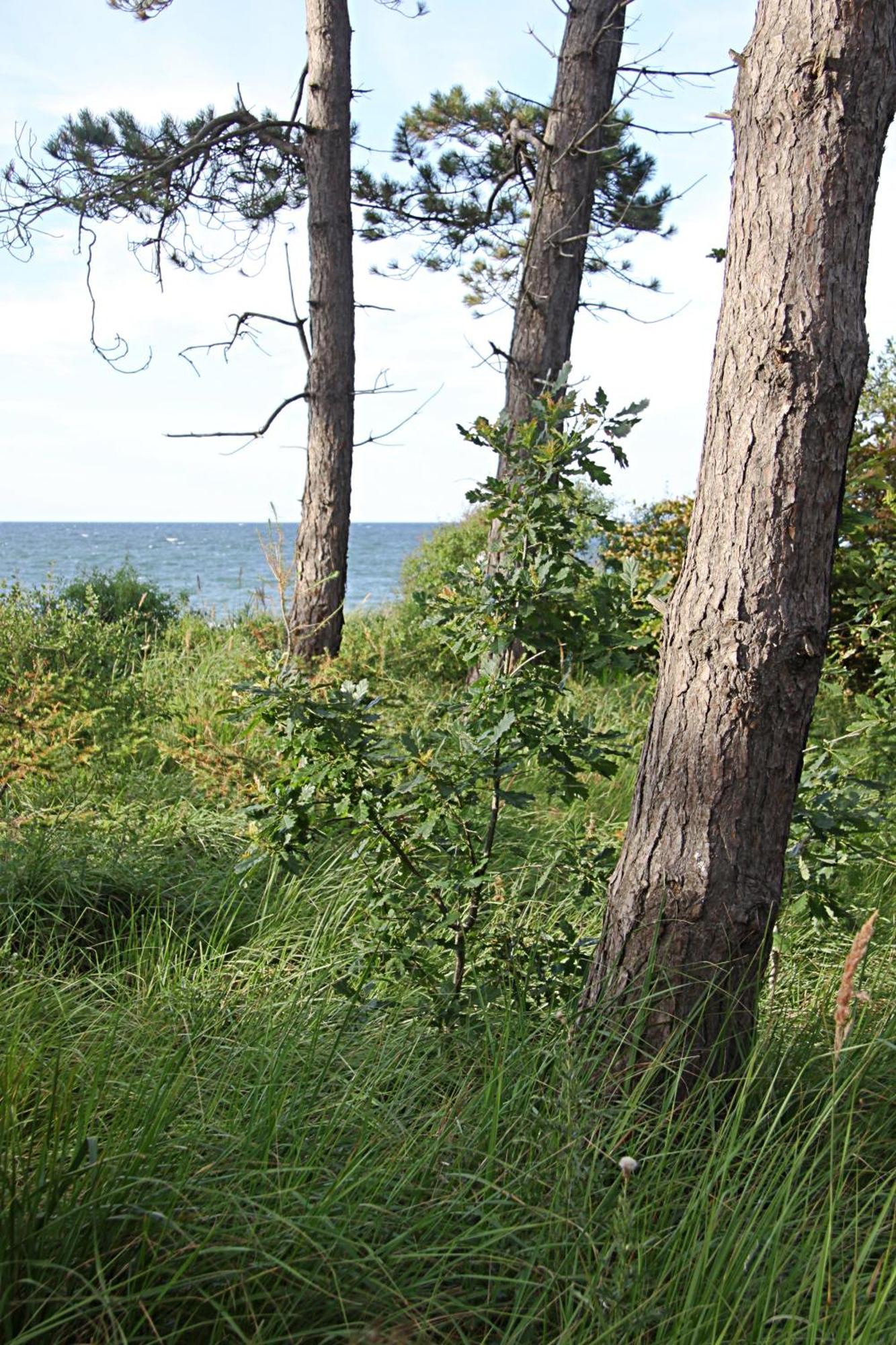 Let'S Sea - 2 Bedroom - Premium Baltic Apartment With Front Sea View Garden And Spa Access Gąski Extérieur photo