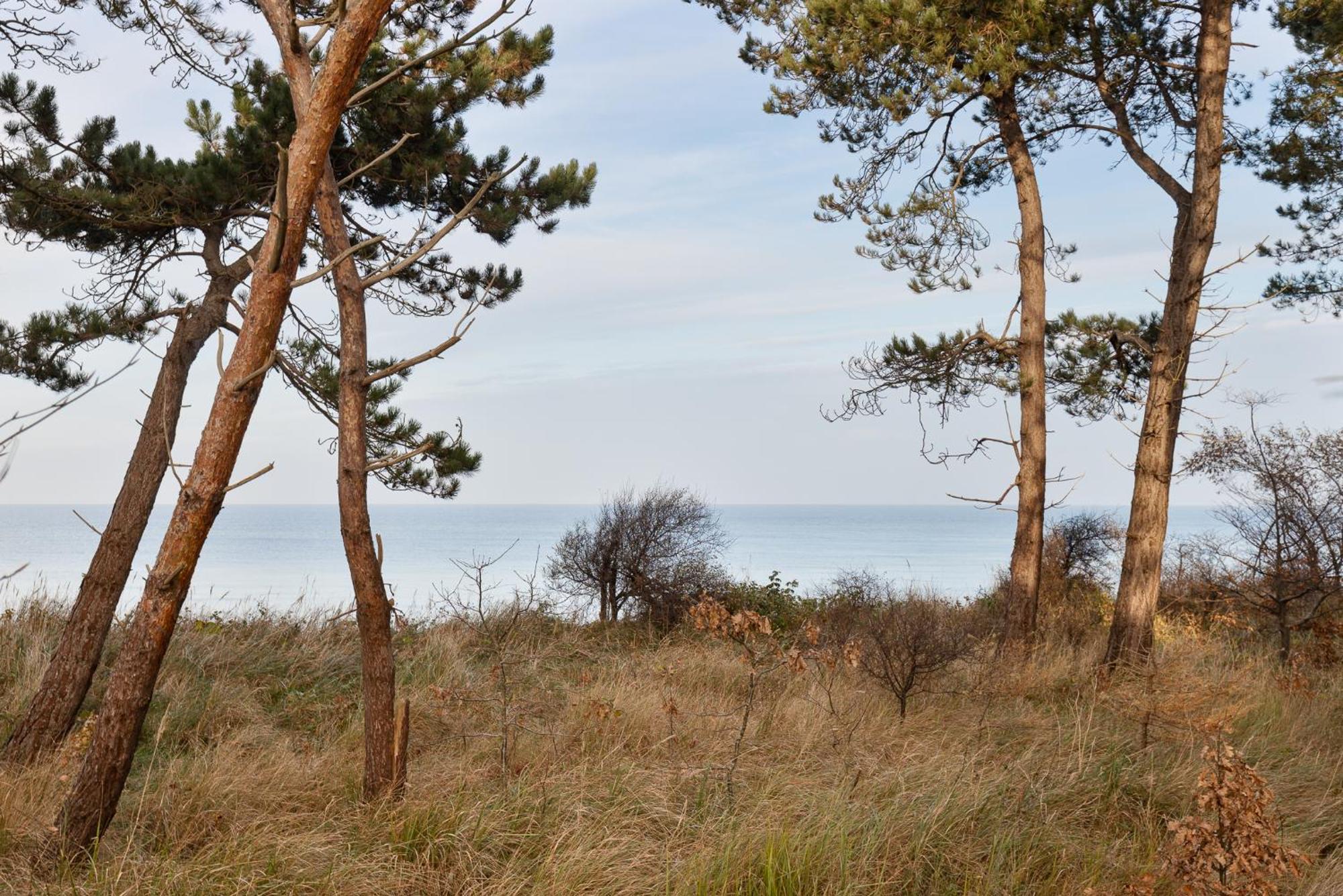 Let'S Sea - 2 Bedroom - Premium Baltic Apartment With Front Sea View Garden And Spa Access Gąski Extérieur photo